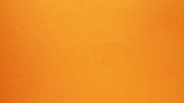 Composition Yellow Daisy Petals Orange Background Stop Motion Macro Lens — ストック動画
