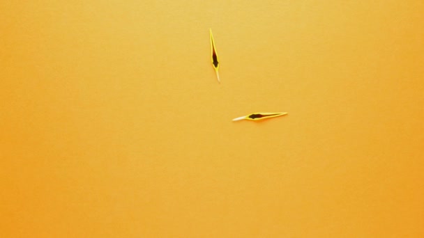 Composition Yellow Daisy Petals Orange Background Stop Motion Macro Lens — Stock Video