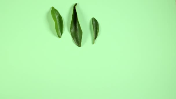 Fruit Face Colored Background Using Orange Slices Tangerine Green Leaves — Stock Video