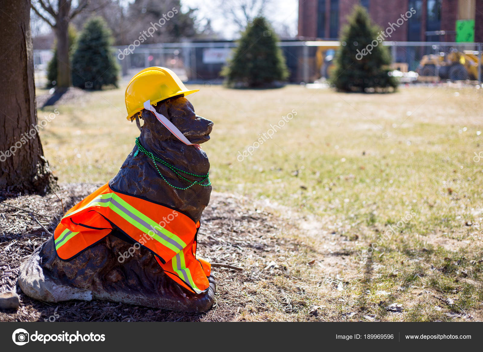 dog hard hat