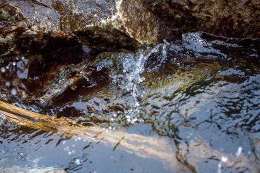 Bahar soğuk sularına