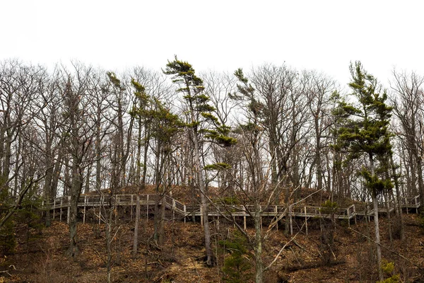 Geçit bir kumul Michigan kıyıya üstüne