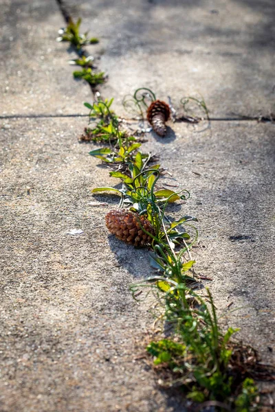 Frühling und ihre Freunde — Stockfoto