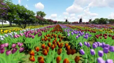 Lalelerin Arkaplanı Güzel Çiçekler