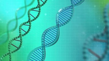 DNA Tam HD Canlandırması