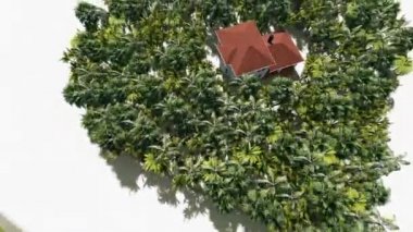 Kalp Adası Aşk Düğünü