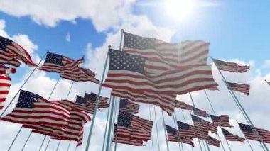 ABD Bayrakları Tam HD