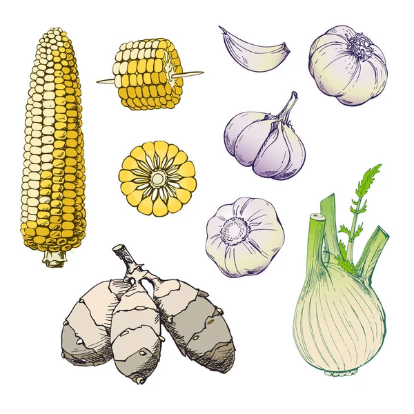 Set di verdure disegnate a mano. Raccolta di schizzi di cibo. Illustrazione vettoriale — Vettoriale Stock