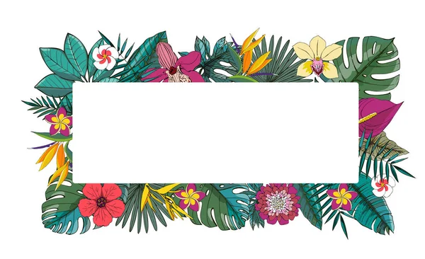 Diseño vectorial tropical con hojas de palma exóticas, hibisco, flores de orquídeas . — Vector de stock