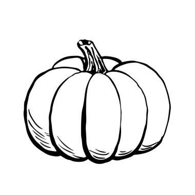 Beyaz arka plan üzerinde izole kabak kroki mürekkep. El vektör çizim çekilmiş. Retro tarzı.