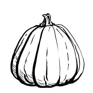 Beyaz arka plan üzerinde izole kabak kroki mürekkep. El vektör çizim çekilmiş. Retro tarzı.