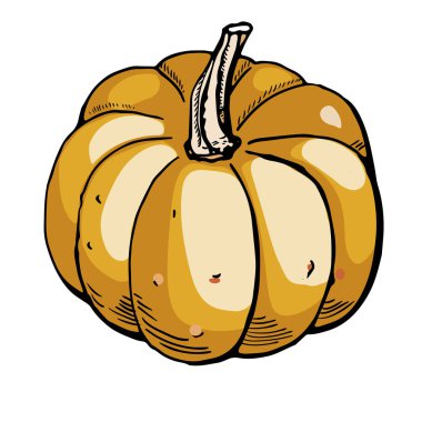 Beyaz arka plan üzerinde izole kabak kroki mürekkep. El vektör çizim çekilmiş. Retro tarzı.