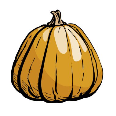 Beyaz arka plan üzerinde izole kabak kroki mürekkep. El vektör çizim çekilmiş. Retro tarzı.