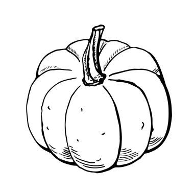 Beyaz arka plan üzerinde izole kabak kroki mürekkep. El vektör çizim çekilmiş. Retro tarzı.