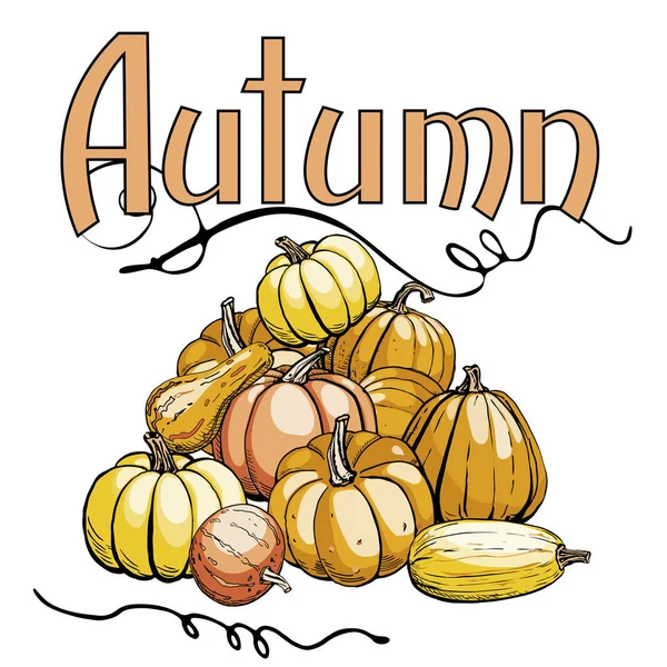 Doodle pumpkins. Image of a large pile of ripe pumpkins and the inscription Autumn — Stock Vector