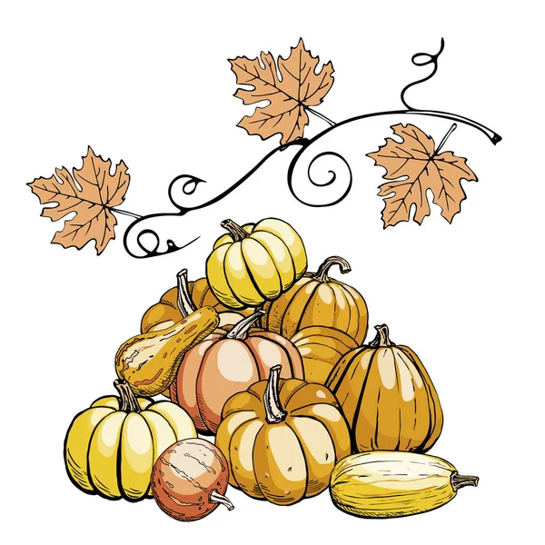 Doodle pumpkins. Image of a large pile of ripe pumpkins and the inscription Autumn — Stock Vector