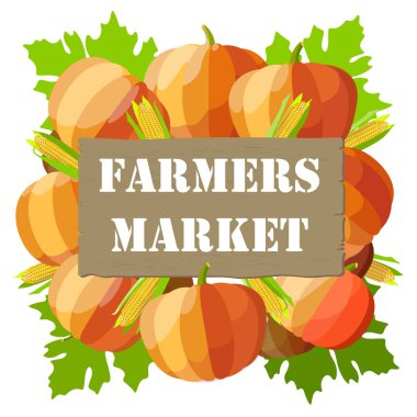 beyaz zemin üzerine kabaklar demet