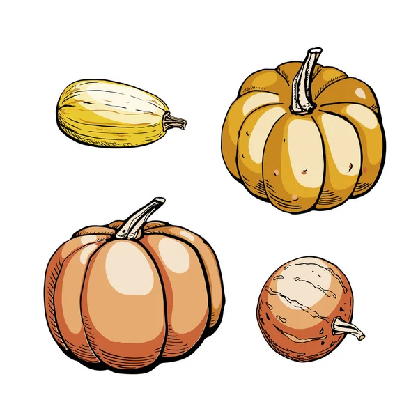 Colored sketch of pumpkin isolated on white background. Hand drawn vector illustration. Retro style. — 스톡 벡터