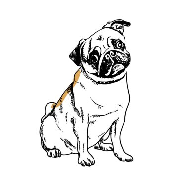 Köpekler farklı vektör karakterler köpek çizimi yapar. Tüylü insan dostları ev hayvanları