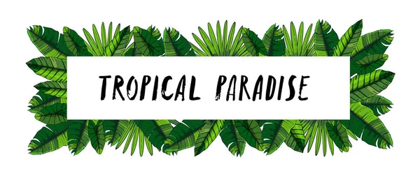 Colección de hojas tropicales. Elementos aislados vectoriales sobre fondo blanco. Banner horizontal con letras de mano — Vector de stock