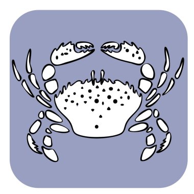 El çizimi yengeç çizimi vektör çizimi. Deniz ürünleri vektörü