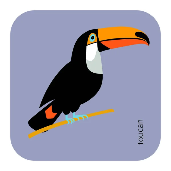 Brasilianischer Tukan-Vogel Natur — Stockvektor