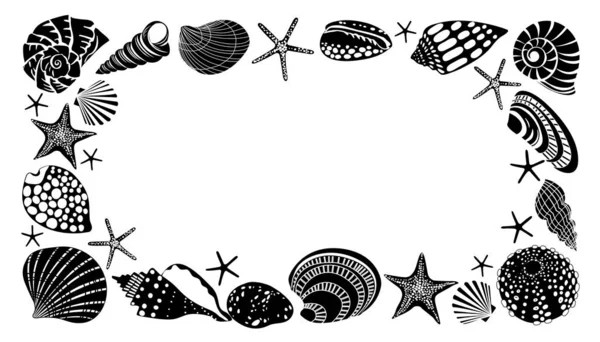 Horizontal frame of different black sea shells and starfish. Vector Graphics