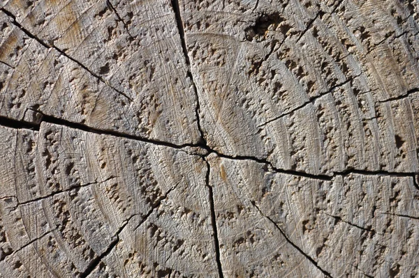 Текстура тла поверхні дерева — стокове фото