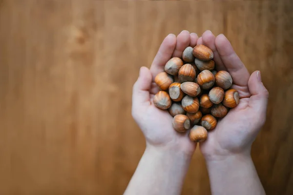 Nocciola Giace Nei Palmi Delle Mani — Foto Stock