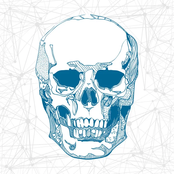 Hand drawn skull. Vector illustration. — Stock Vector