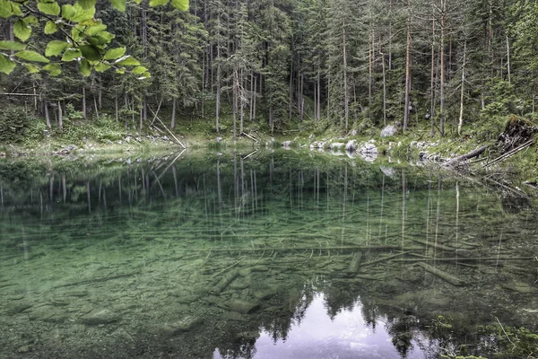 Waldsee mit Baumst? — 图库照片