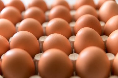 paketlenmiş, yumurta, tavuk yumurta yumurta paket dışında beyaz zemin üzerine yerleştirilen