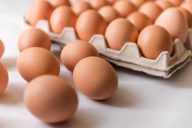 paketlenmiş, yumurta, tavuk yumurta yumurta paket dışında beyaz zemin üzerine yerleştirilen