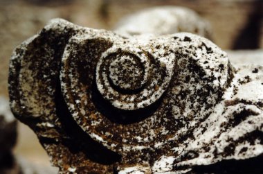 Sonsuzluğun spirali. Yunanistan, Dion.