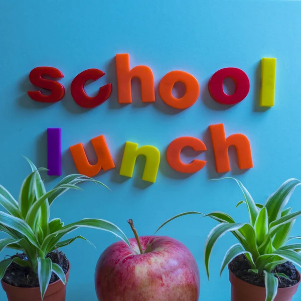 青い磁性基板上磁気文字で書かれた学校ランチ テキスト つの赤いおいしいりんごは テキストの下に配置されます 健康な学校ランチ コンセプト — ストック写真