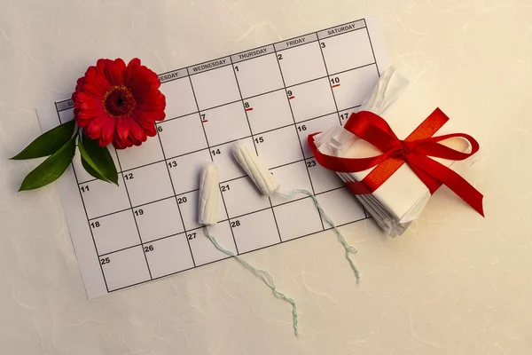 Defter, pamuk tampon, kırmızı çiçek ile adet takvim. Kadın kritik gün, kadın hijyen koruma