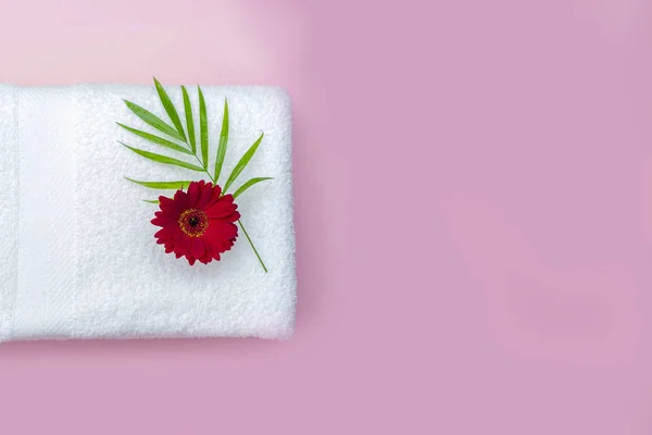 güzel spa kompozisyon, gevşeme kavramı