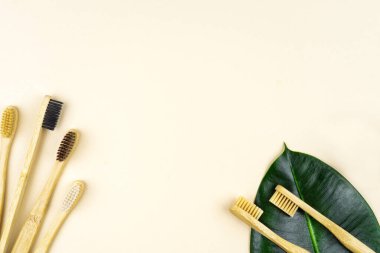 Sıfır atık. Pastel arka planda yeşil yapraklı bambu diş fırçası. Plastiksiz temel ihtiyaçlar, diş bakımı. Sürdürülebilir yaşam tarzı. Uzayı kopyala Üst görünüm.