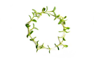 Beyaz arkaplanda yalıtılmış hassas mikro çelenkler. Düz yatıyordu. Doğa ve sağlıklı yiyecek, diyet, eko konsepti.