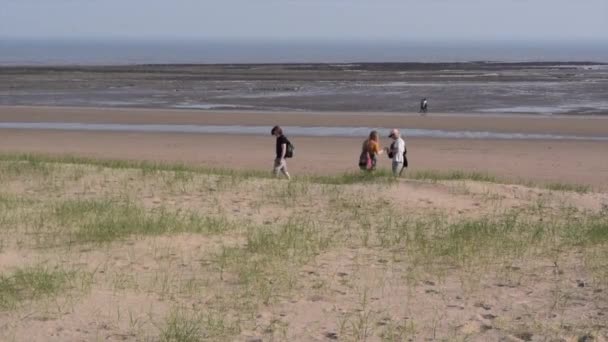 Groep jongeren op zandstrand op een mooie dag. — Stockvideo