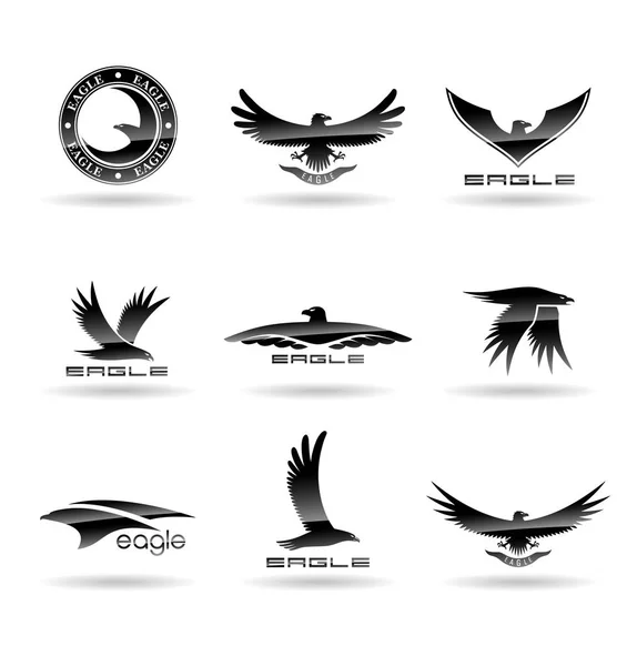 Eagle Logo Vektor Pojmy Falcon Logotyp Šablona Jestřáb Ilustrace — Stockový vektor