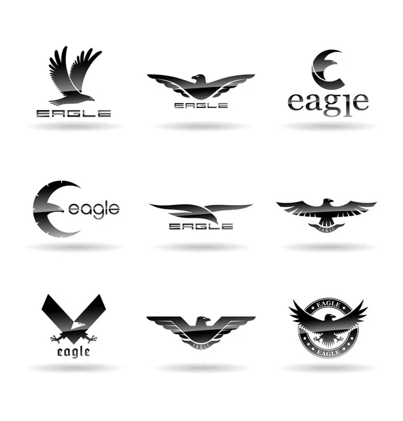 Eagle Logo Vektor Pojmy Falcon Logotyp Šablona Jestřáb Ilustrace — Stockový vektor
