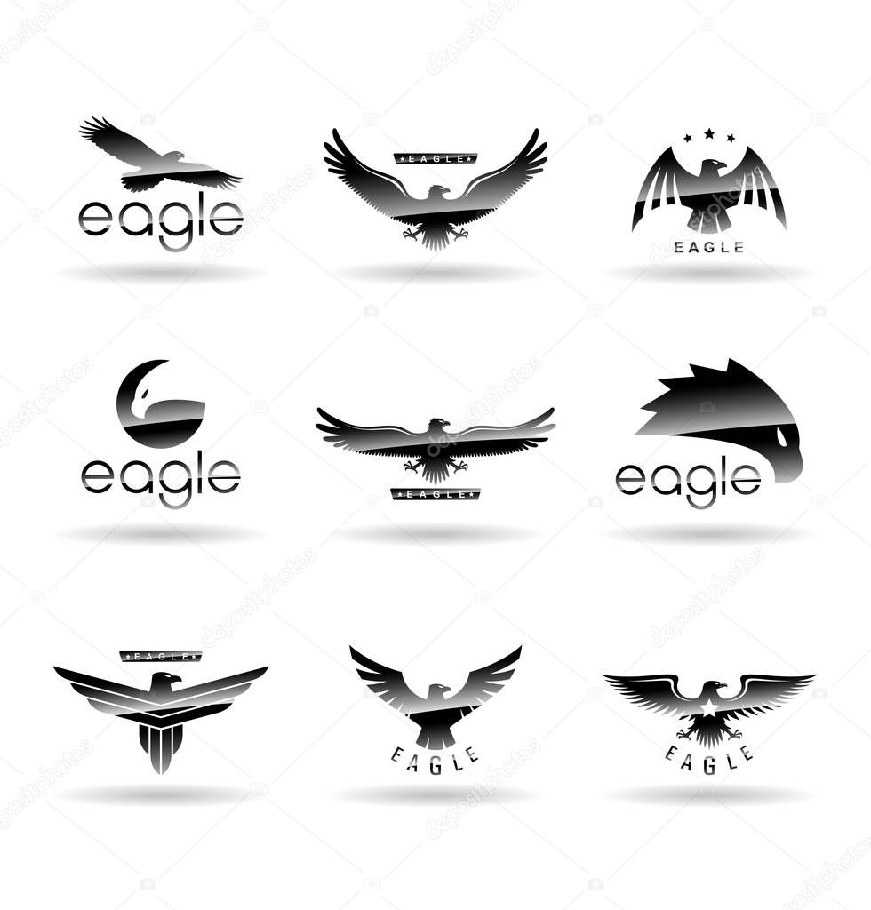 Eagle logo vector concepts, falcon logotype template, hawk illustration