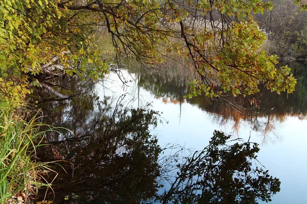 Outono Lago — Fotografia de Stock