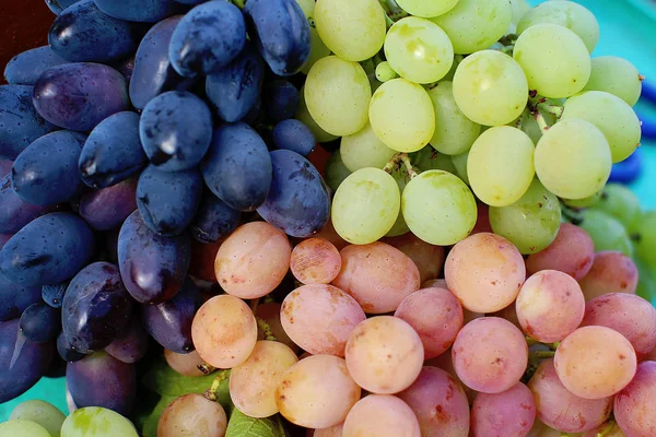 Blauw Roze Witte Druiven — Stockfoto