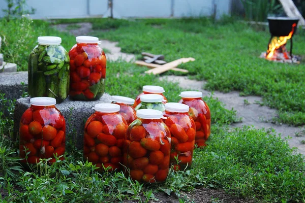 Vanuit Tuin Naar Kelder — Stockfoto