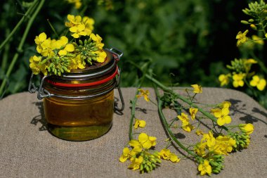 Çiçek açan bir kolza tohumu tarlasında keten üzerinde kolza yağı bulunan cam kavanoz.