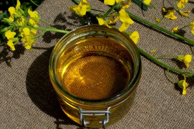 Çiçek açan bir kolza tohumu tarlasında keten üzerinde kolza yağı bulunan cam kavanoz.