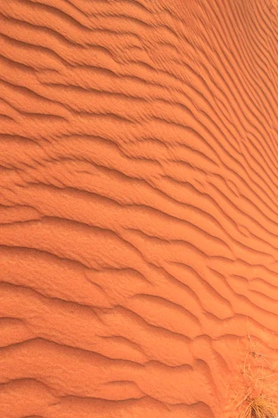 Dunes Rub Khali Desert Dubai — Stockfoto