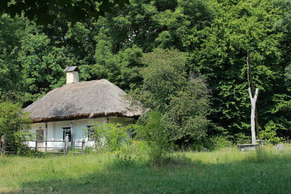 Old Ukrainian hut with a reed roof, near a cherry and a well